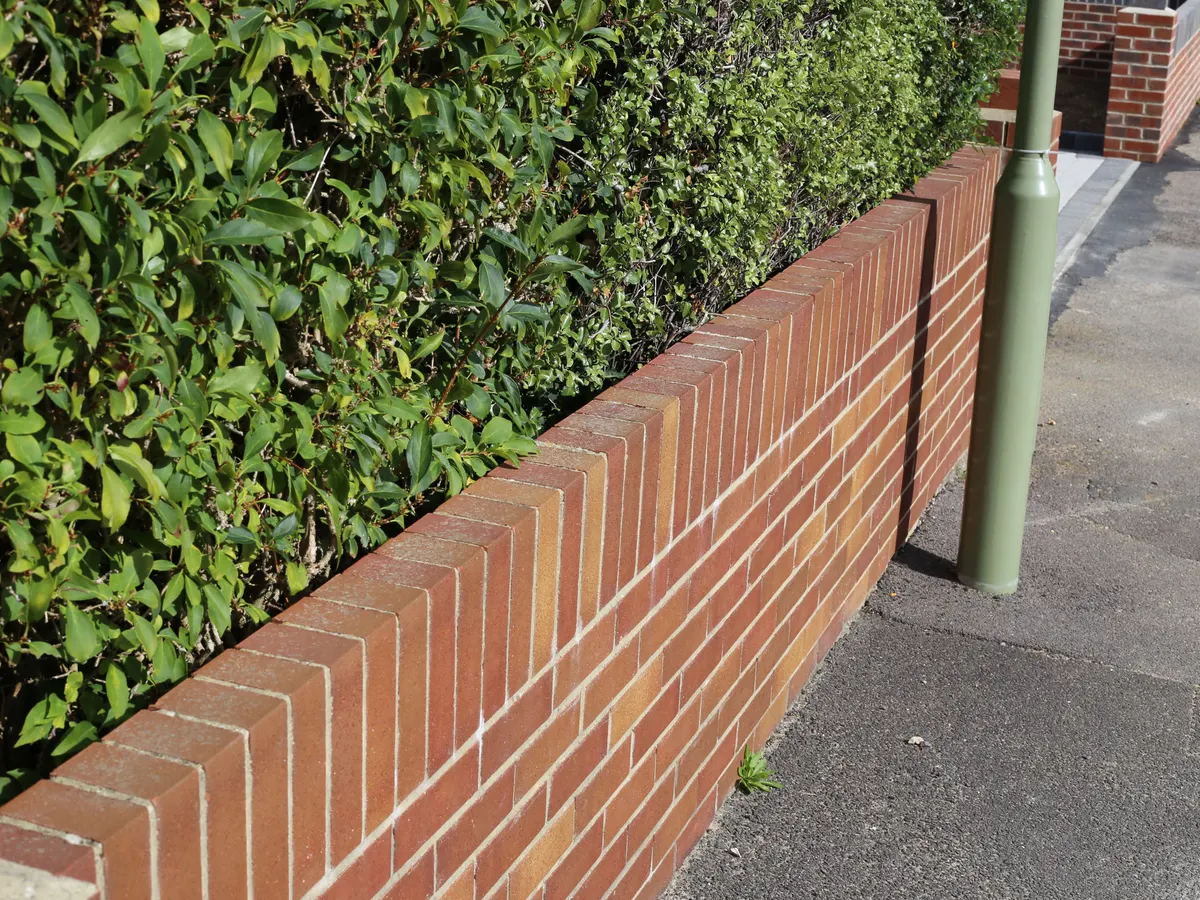 Red brick garden wall with a soldier course coping