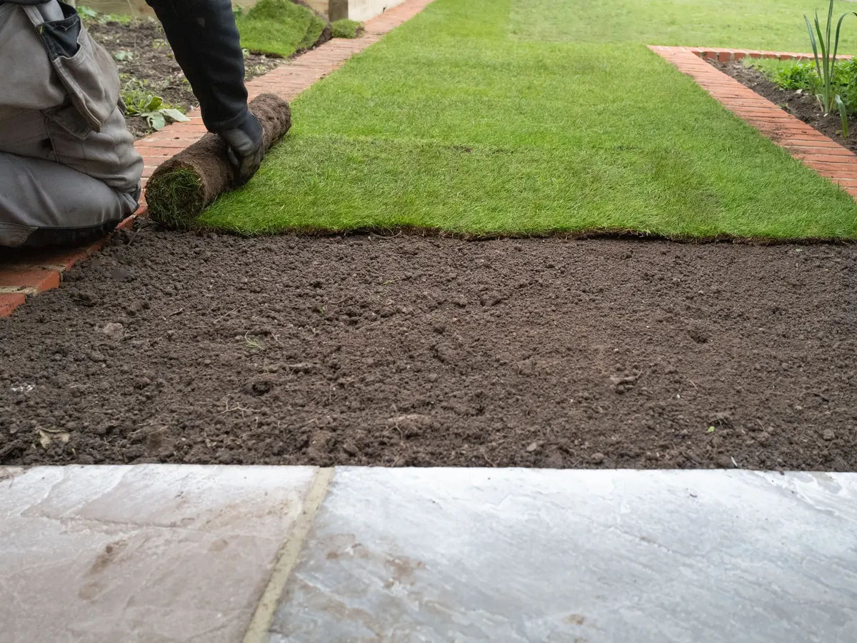Turf being laid on prepared soil beside a path
